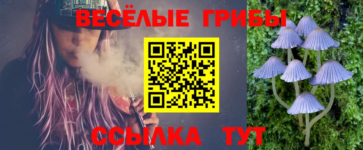 Нефтекумск  Псилоцибиновые грибы мицелий  Вход с VPN 